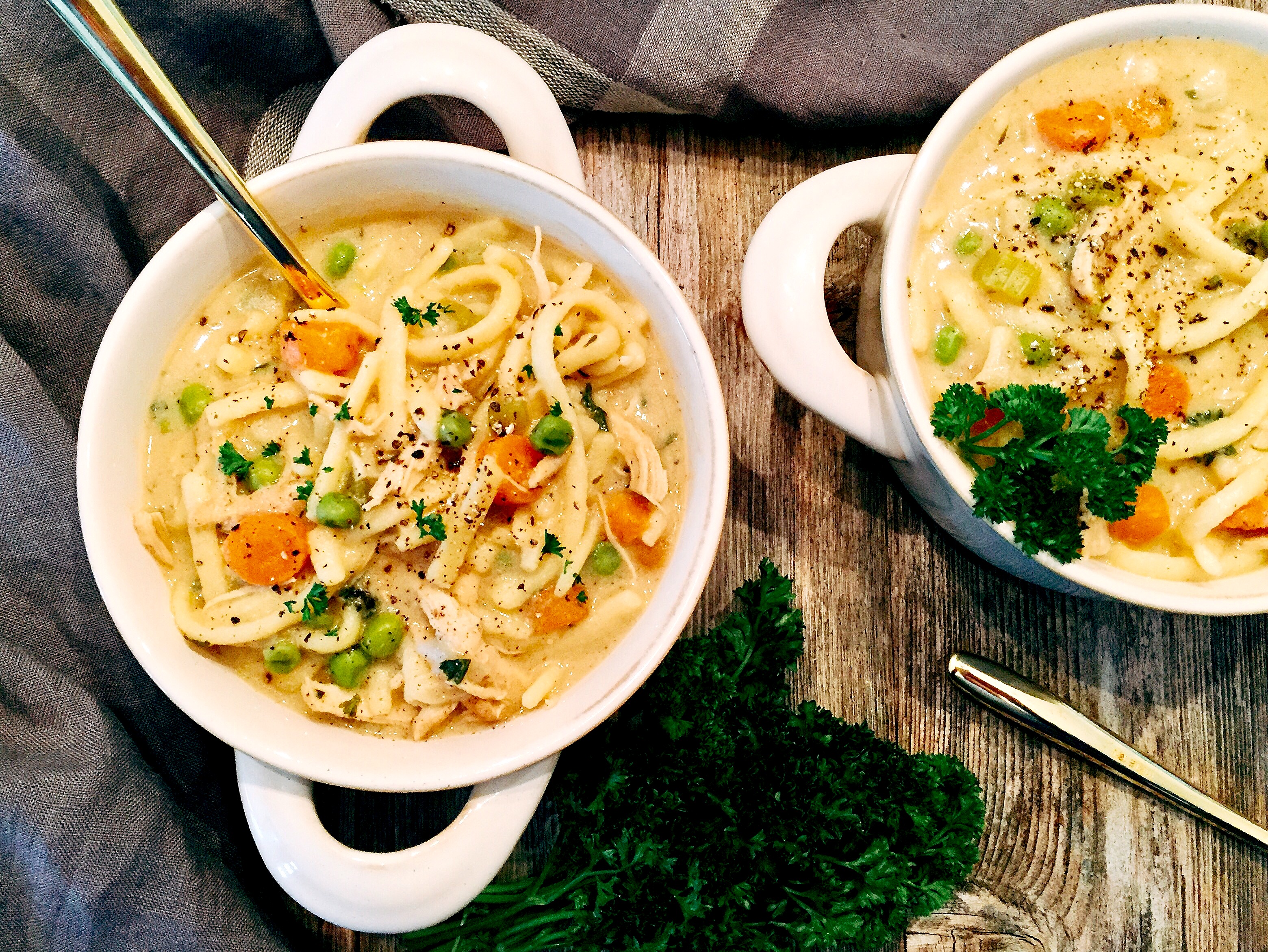 Creamy Chicken Noodle Soup