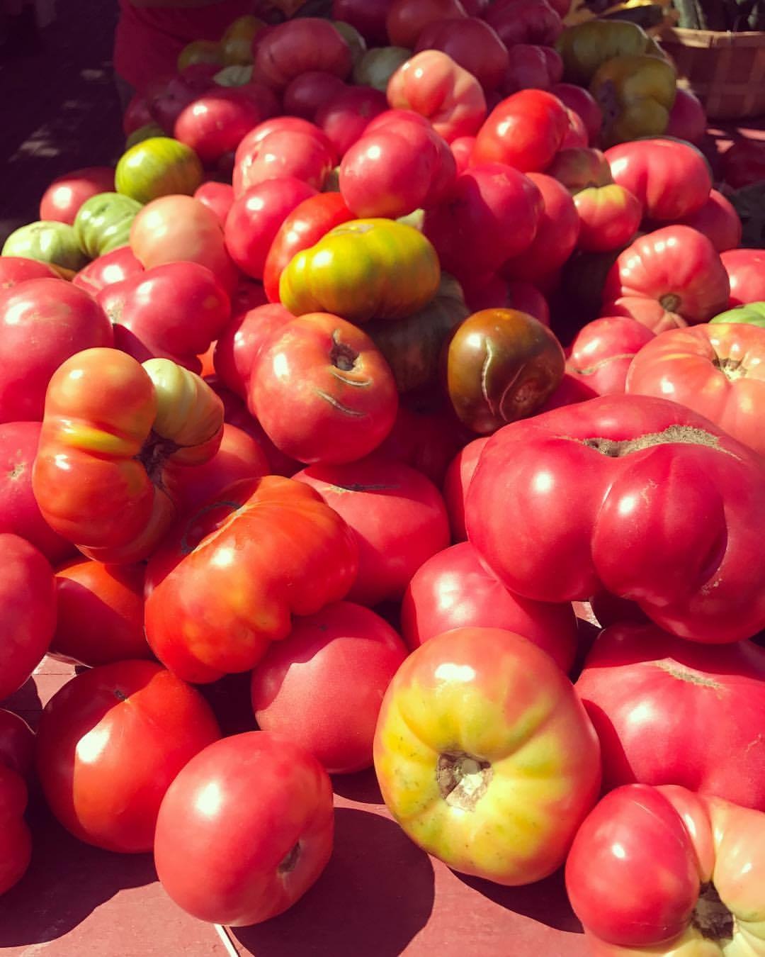 Heirloom Tomatoes1